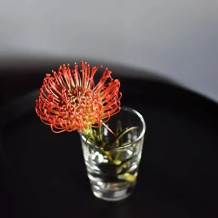 Domillion New Modern Old Town 16 Ppl U2c1 Vilnius