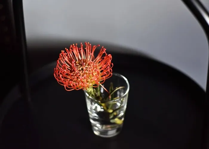 Domillion New Modern Old Town 16 Ppl U2c1 Vilnius